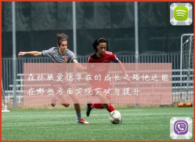 森林狼爱德华兹的成长之路他还能在哪些方面实现突破与提升