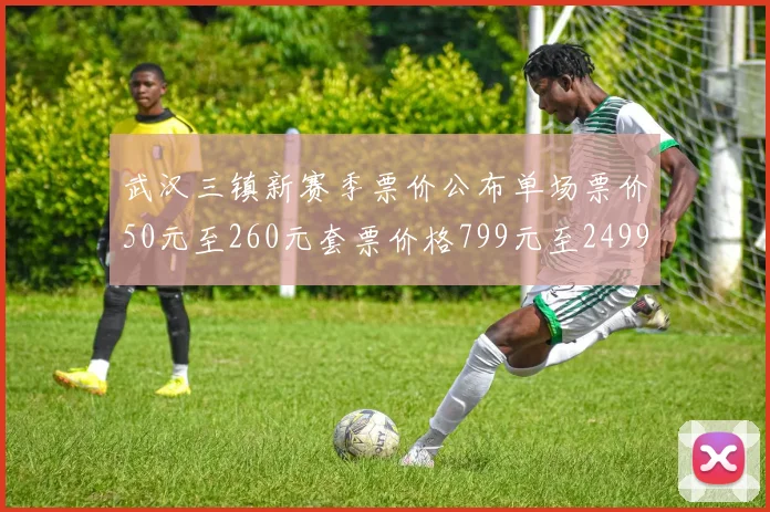 武汉三镇新赛季票价公布单场票价50元至260元套票价格799元至2499元